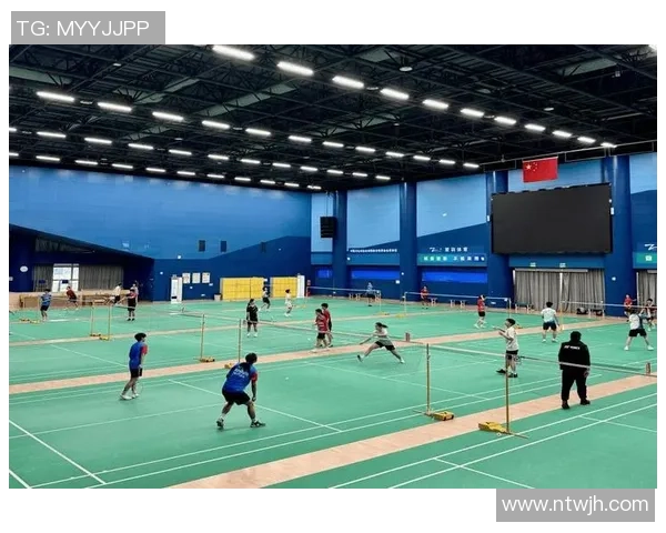 武汉羽毛球队在城市联赛中的拼搏历程与荣耀时刻回顾