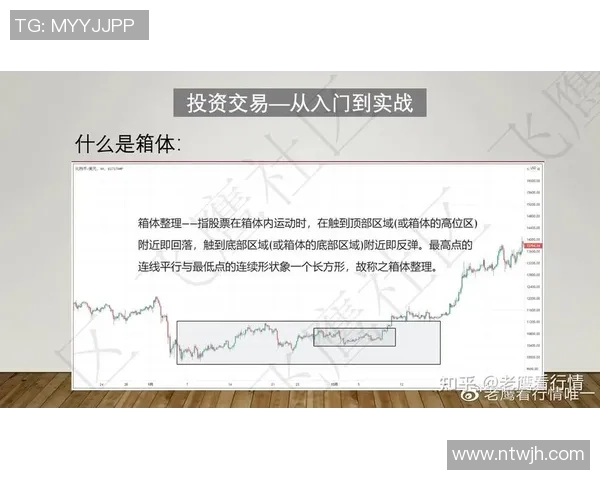 深入分析上海篮球队反击战术的关键要素与实战应用